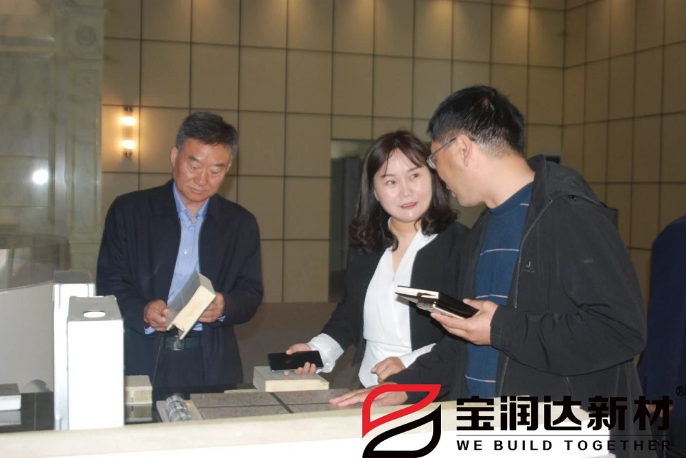 龍蟒佰利聯(lián)集團(tuán)董事長(zhǎng)一行來(lái)訪寶潤(rùn)達(dá)