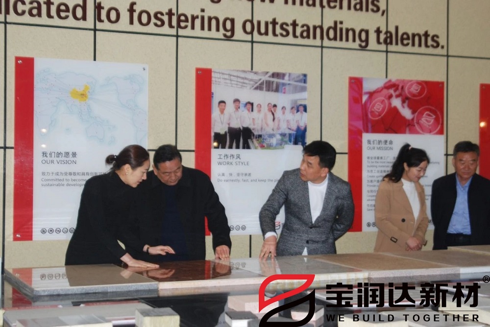 龍蟒佰利聯(lián)集團(tuán)董事長(zhǎng)一行來(lái)訪寶潤(rùn)達(dá)