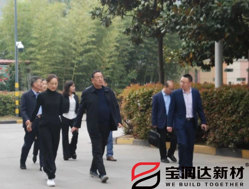 龍蟒佰利聯(lián)集團(tuán)一行來(lái)訪寶潤(rùn)達(dá)