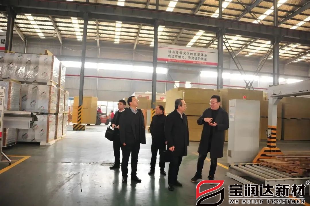 懷寧縣委領(lǐng)導(dǎo)蒞臨寶潤(rùn)達(dá)參觀(guān)交流