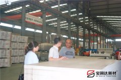 美國Rocky先生來訪寶潤達(dá)洽談一體板項目